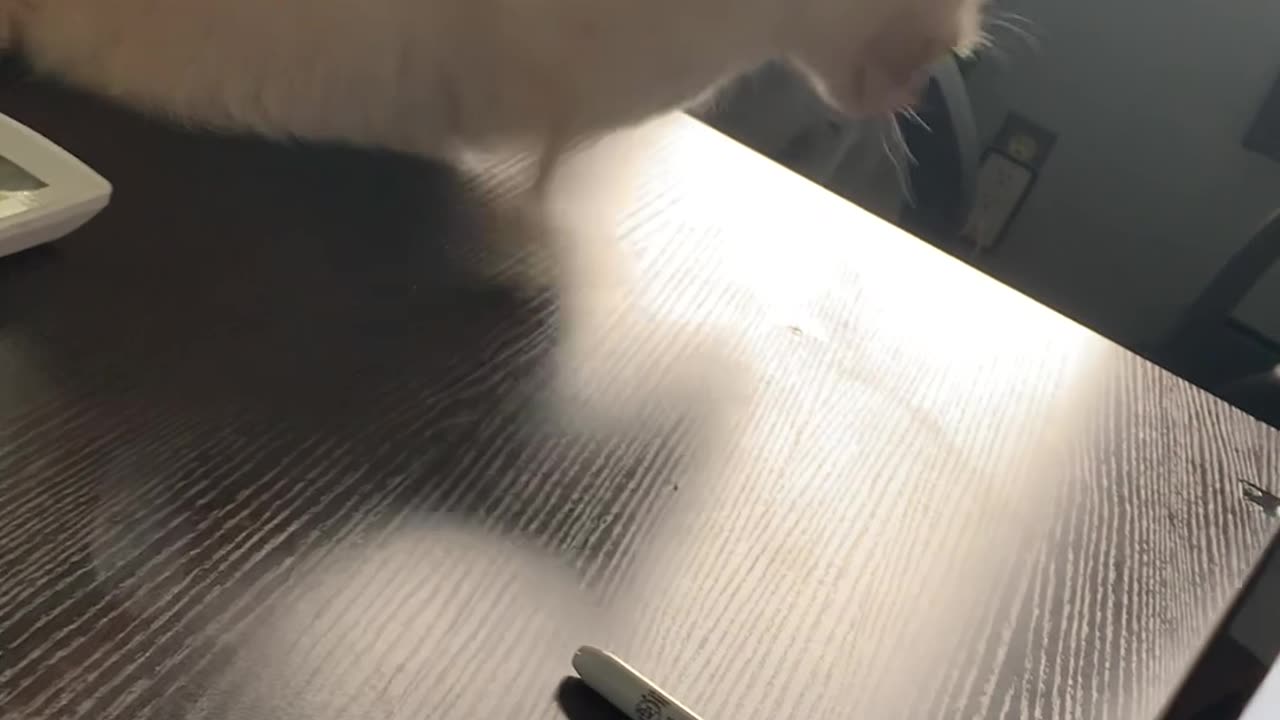 Mommy's Little Helper