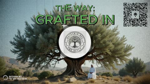 The WAY: Grafted In