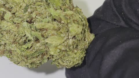Viper OG THC Flower - Dispensary