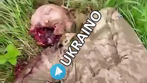 Ukraine war ombat footage 10/16/25