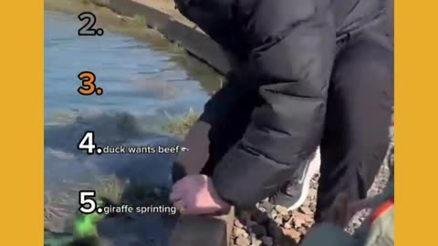 The last guy showed EXACTLY how to survive a horror movie… just RUN 😂💀🤯