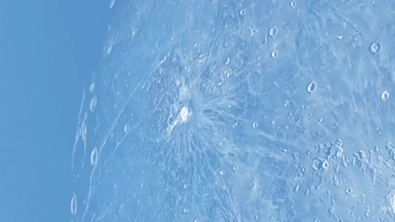 شاهد كيف يضربها بقوة