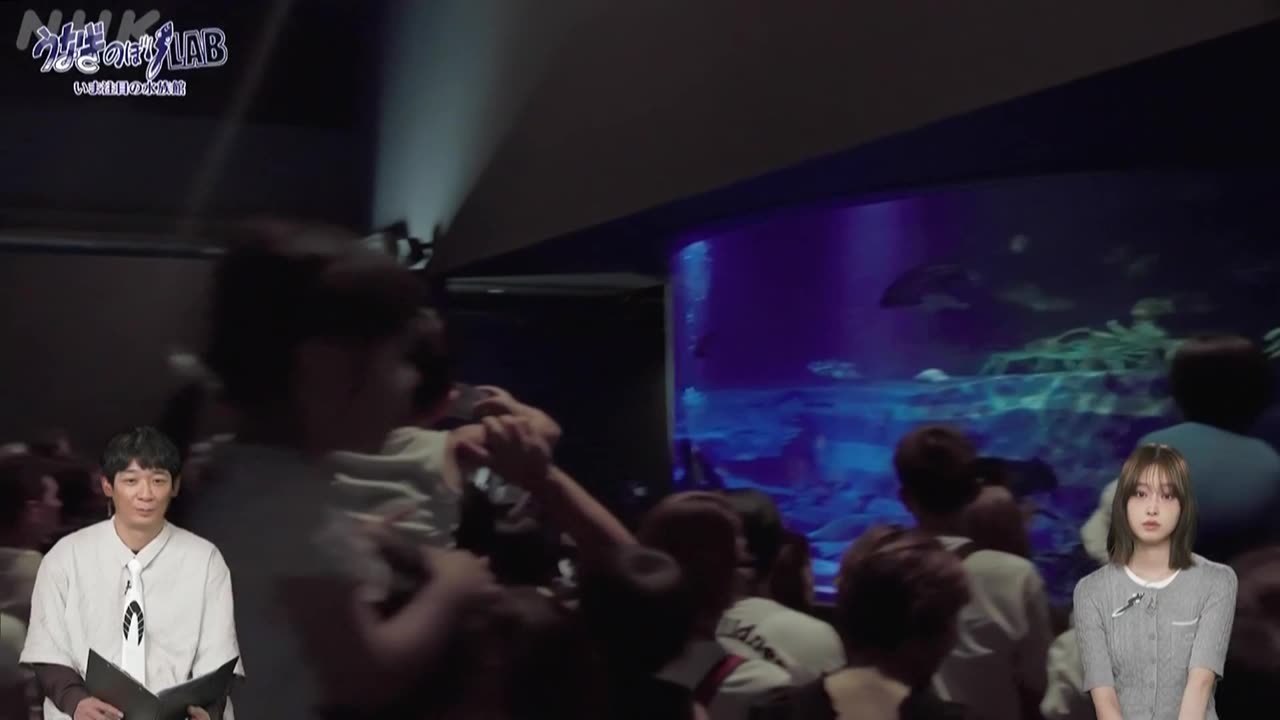 うなぎのぼりLAB いま注目の水族館