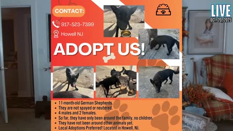 BBS Radio TV Station 2