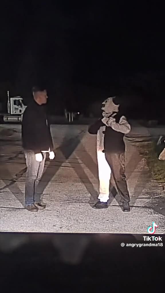 CLOWNING🤪 AROUND WEDNESDAY 11/5/25