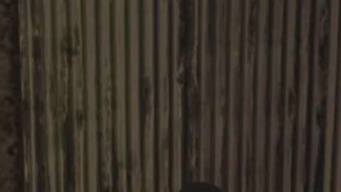 Weekend Highlights Pt.4 - 10/19/25 - SOCOM Confrontation Shorts