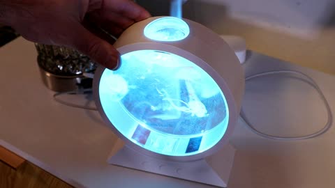 EyeSound Color Changing Dancing Jellyfish Lamp Gadget Review