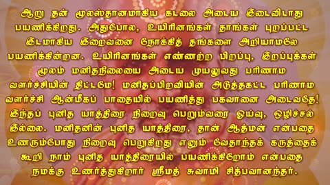 November 03 | PILGRIMAGE | Daily Divine Digest