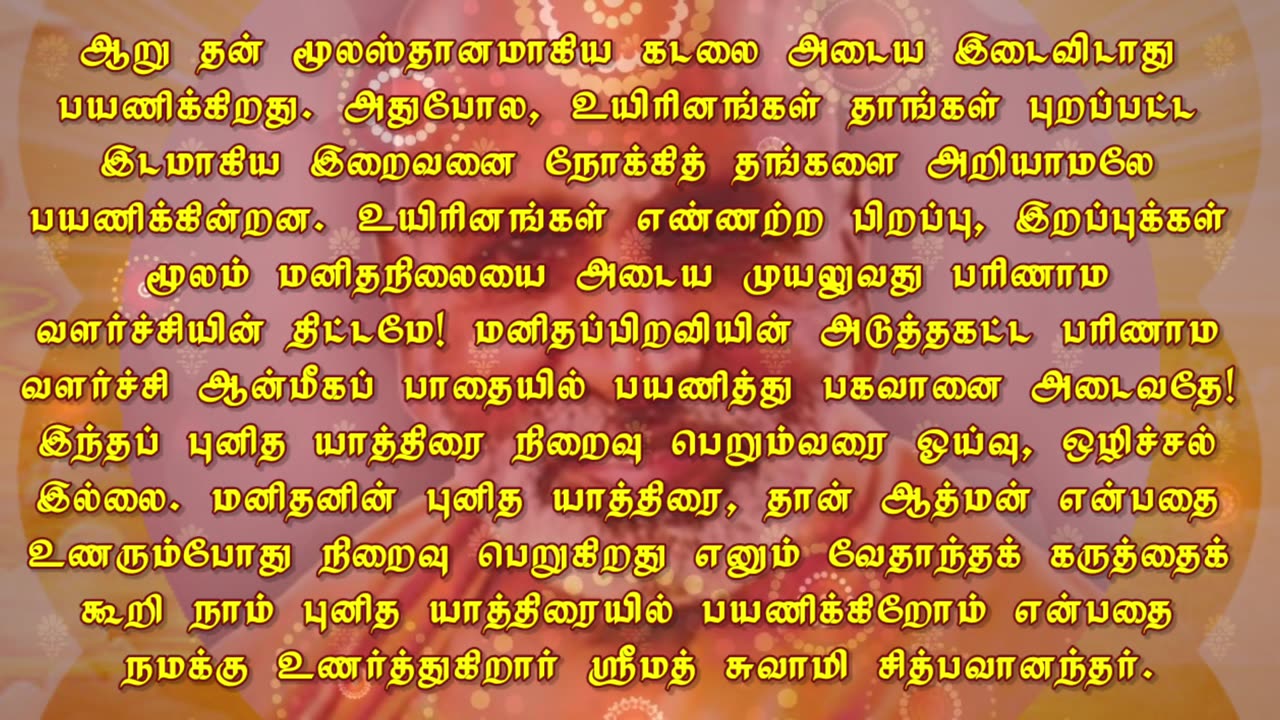 November 03 | PILGRIMAGE | Daily Divine Digest