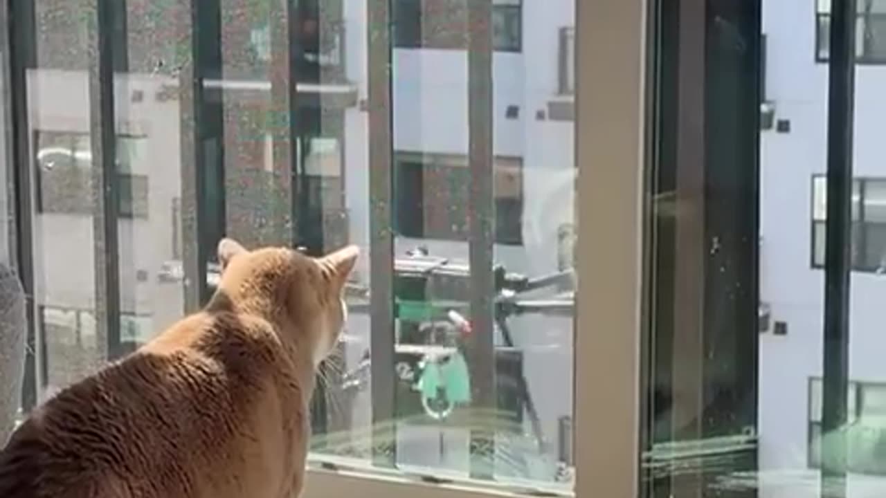 🤯🚁 Drone Delivery Gone Wrong! | FunFM