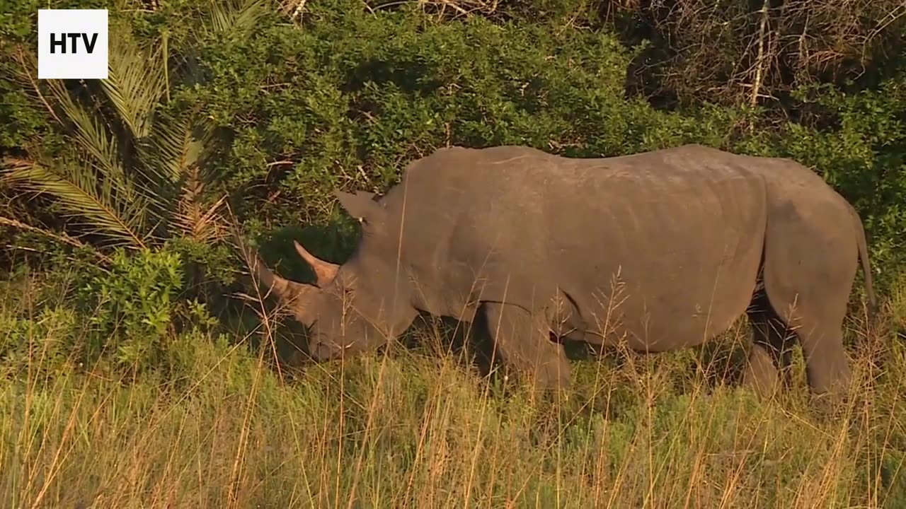 Journey Into Sustainable Adventures