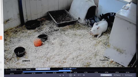 Better than watching scripted tv.