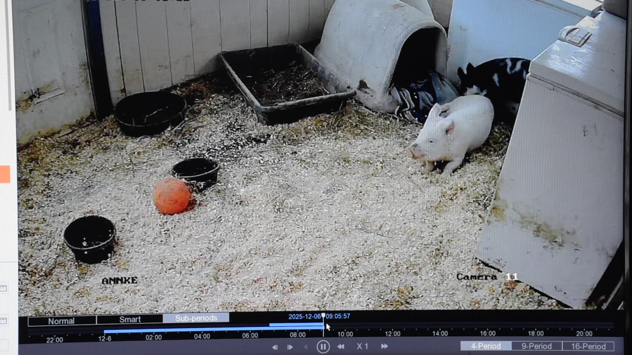 Better than watching scripted tv.