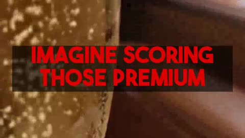 Fly Business Class & 5-star Hotels affordably! Mighty Travels Premium reveals how.