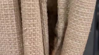 😂🍪 A Treat for All! | FunFM
