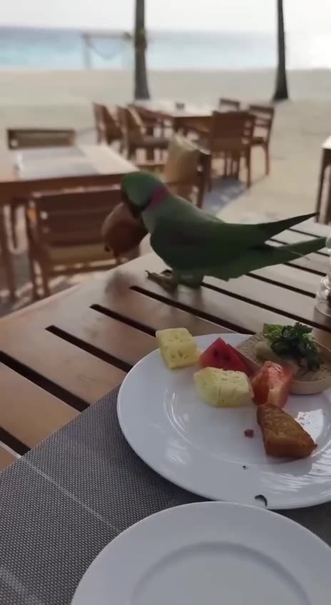 Breakfast with the locals 😊