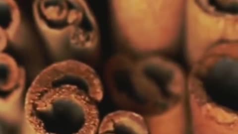 The Snuggliest Scents for Chill Nights In