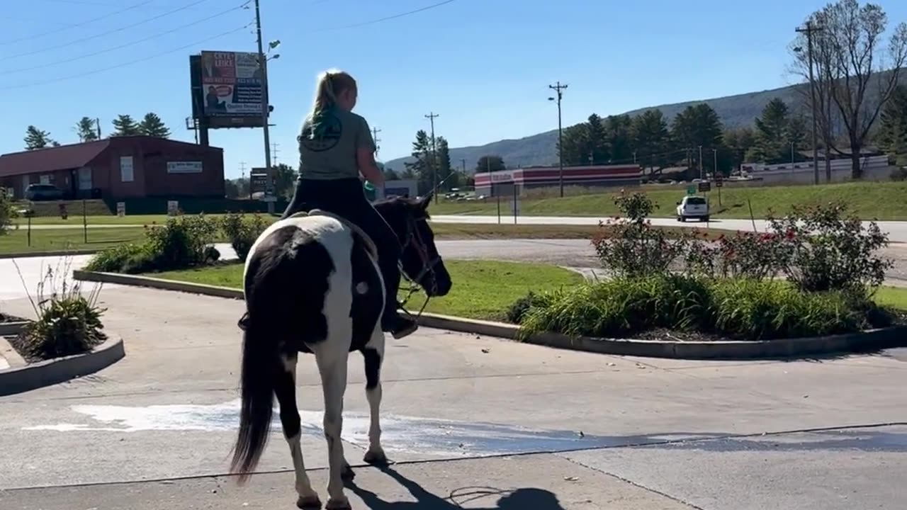 🐴🍔 Wait For The Final Result... Horse Rides Through McDonald's Drive-Thru! Amazing Animal | FeedMyCu
