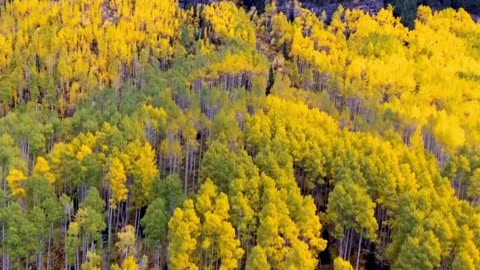 Warm R&B Vibes Session