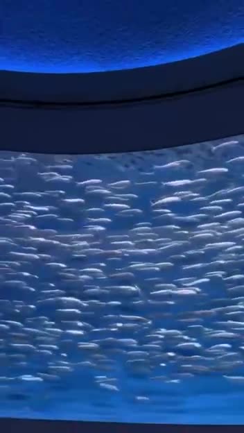 Going against the grain 😊