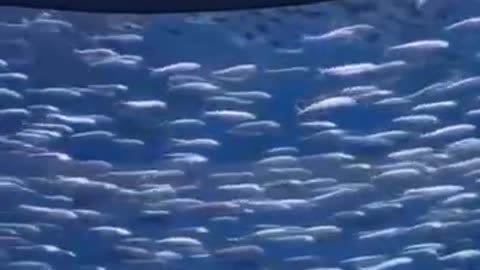 Going against the grain 😊