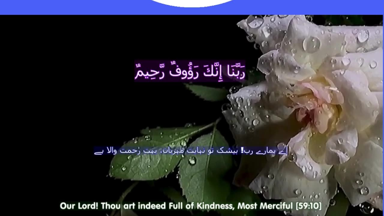 Top 40 Rabbana Duas Every Muslim Should Know (dua no 37) #shorts