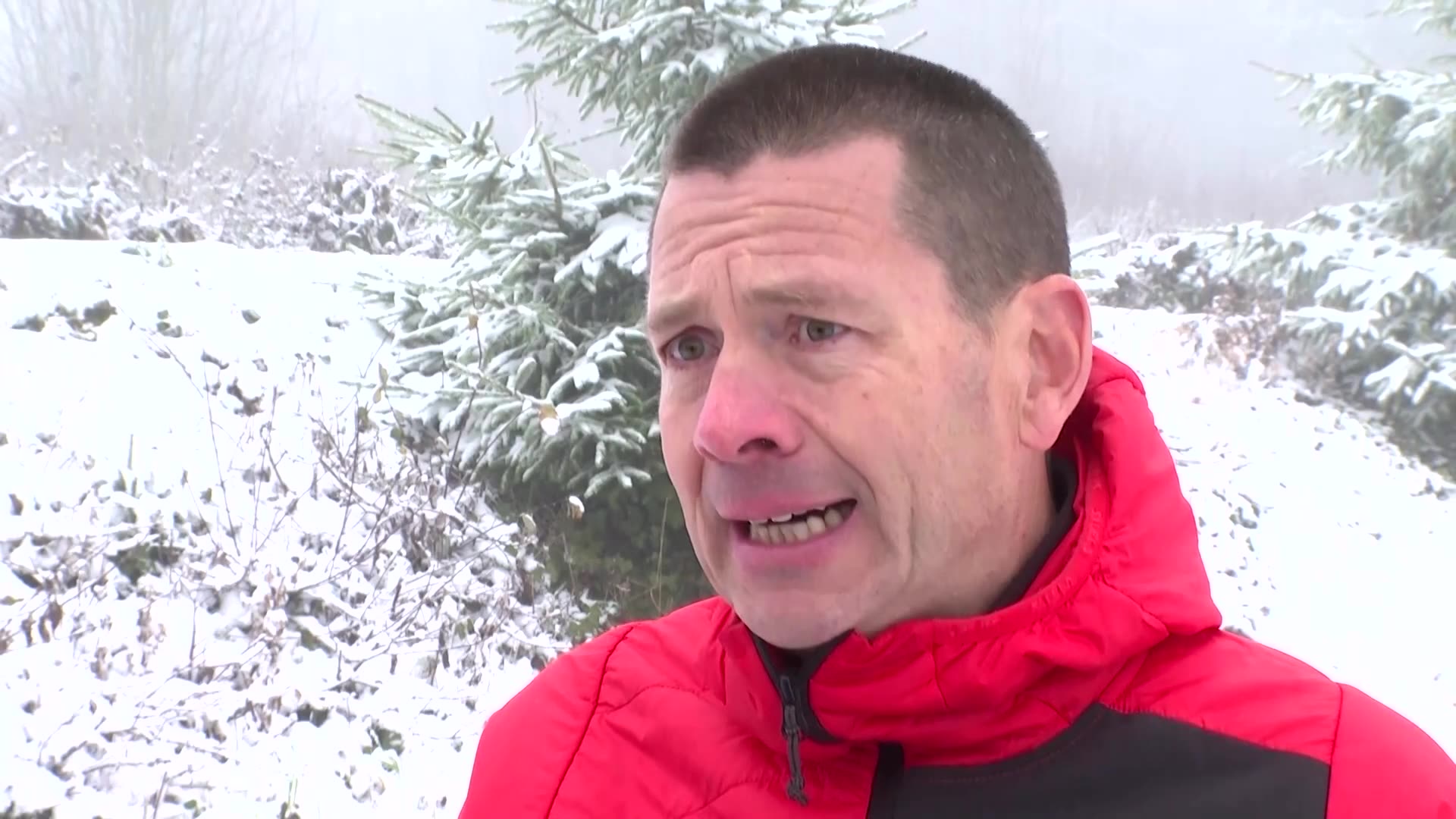 Early winter cold snap brings snow to Germany