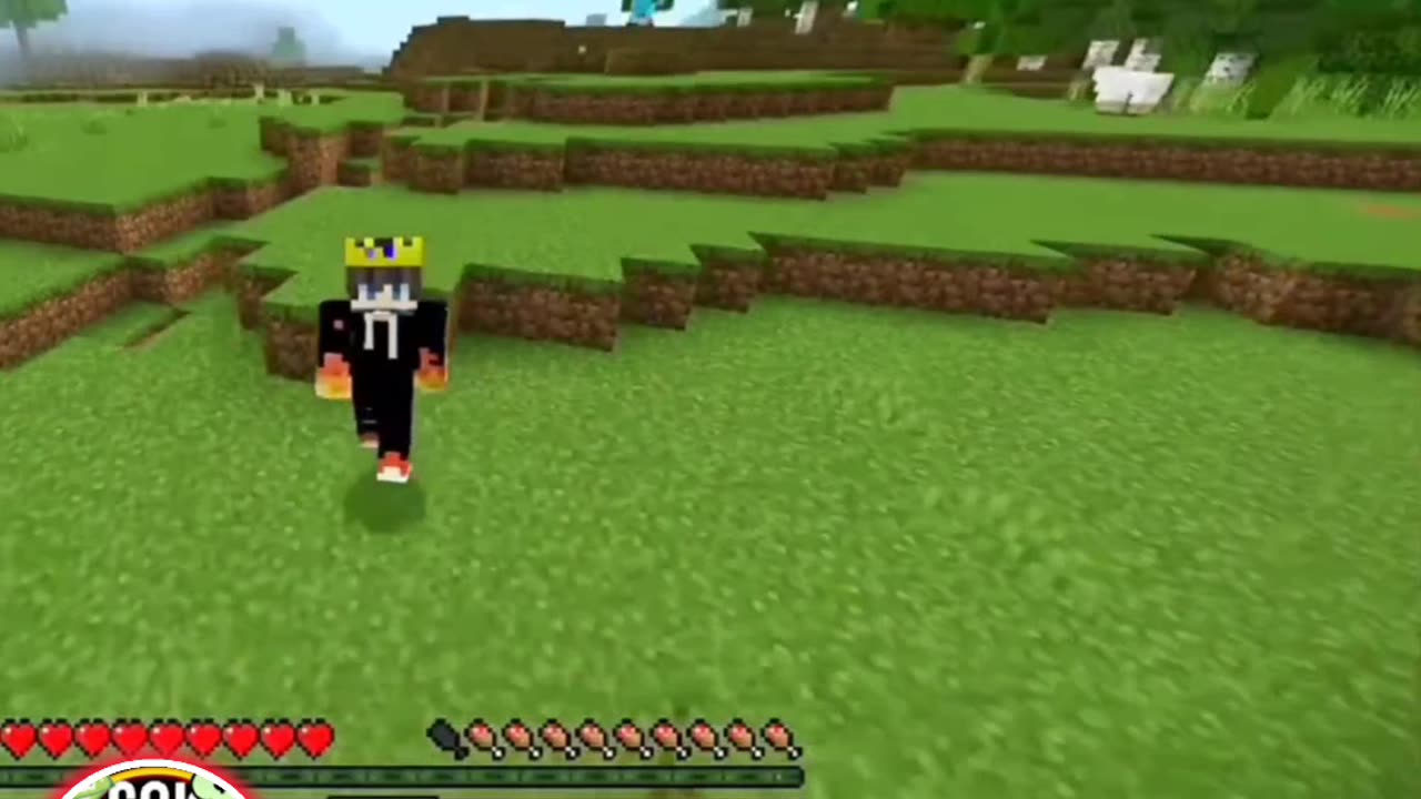 What Did He Say?!! (Minecraft)