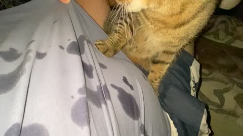 Cat Drools All Over Owner