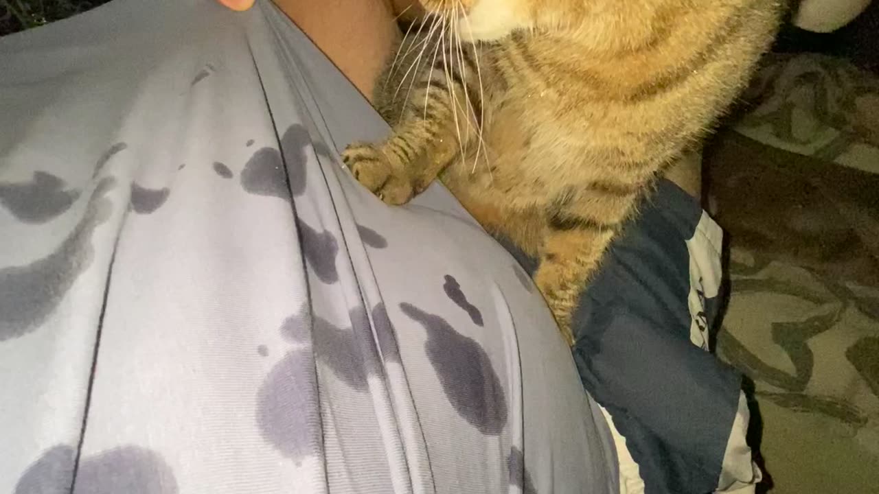 Cat Drools All Over Owner