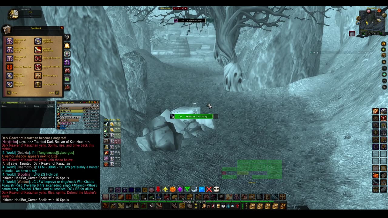 Turtle wow - PUG Dark Reaver - world boss - 19 October - Paladin POV