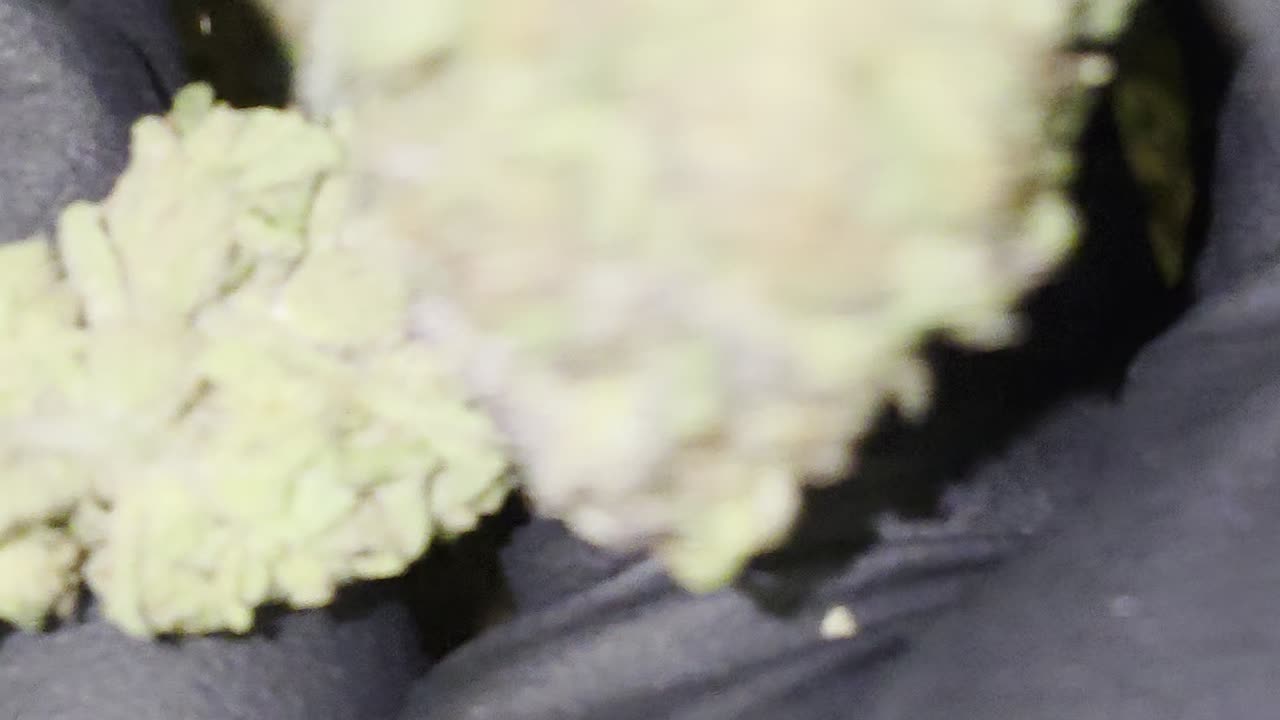 Mac N Cheese THC Flower