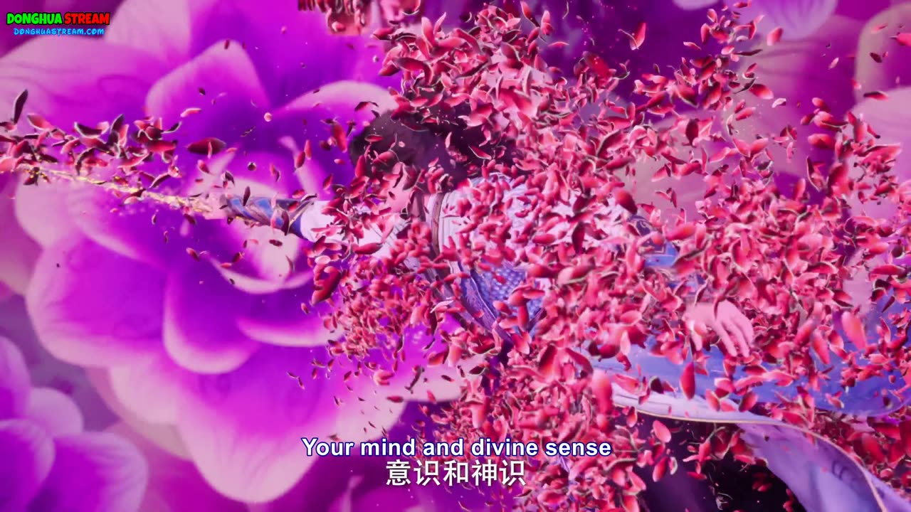 Shrouding 142 @DonghuaStream com