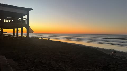 Black Sheep Of Bitcoin Beach Official Video