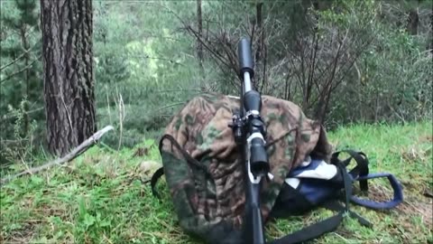 280 m shot on a red deer