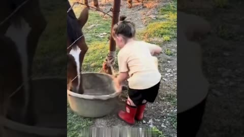 A selection of funny moments with animal #30