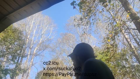 ActivityPub Research