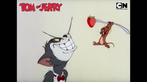 Funny Tom and Jerry_ The Cat _ The Mouse Epic Battle