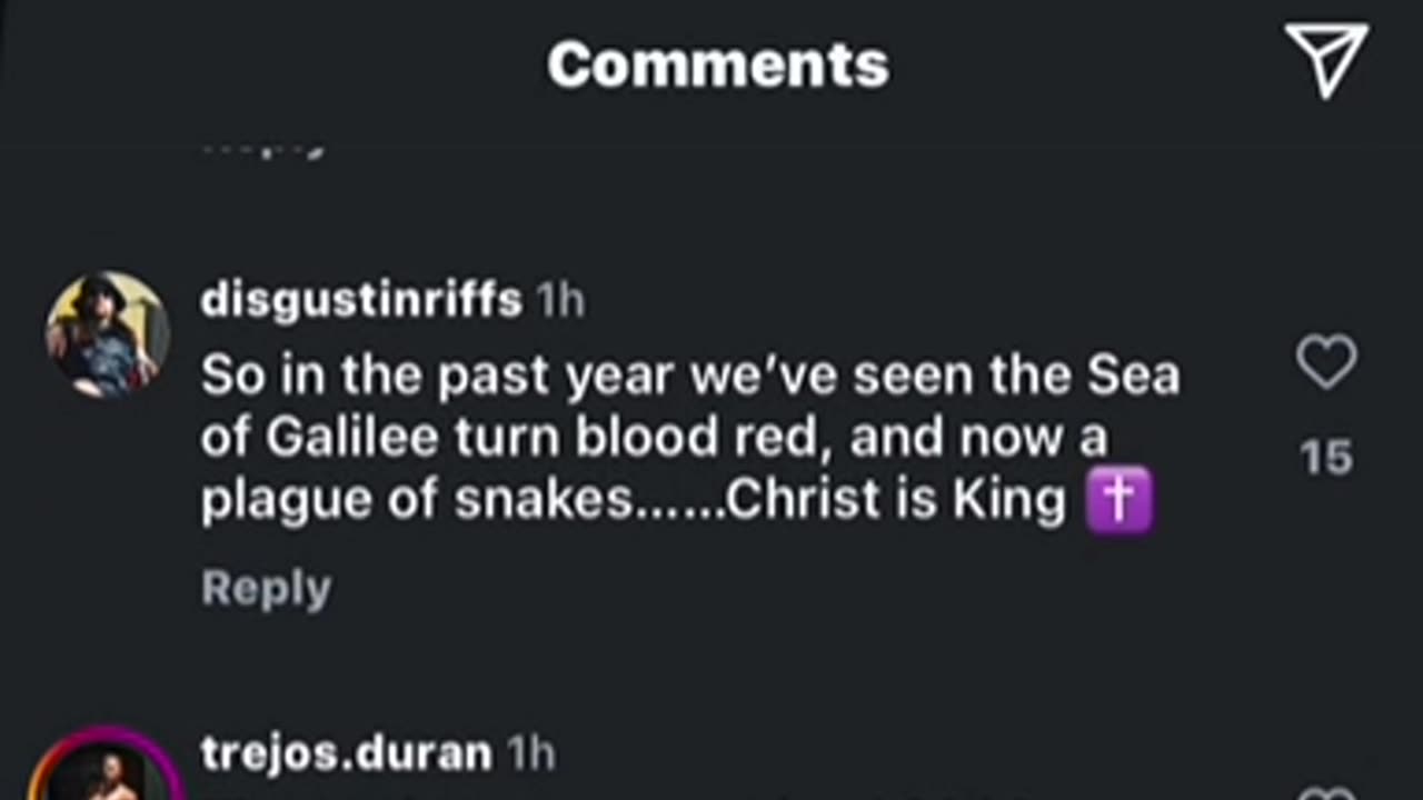 ‘Snakes invade Israel’