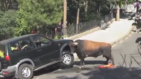 Funniest Animals 2023 😂