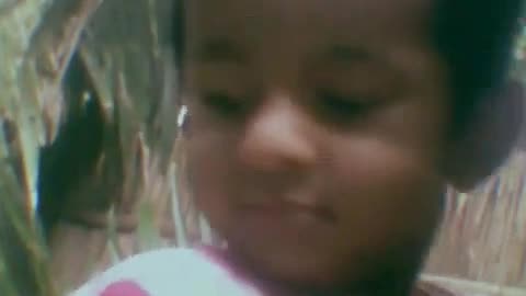 Viral video