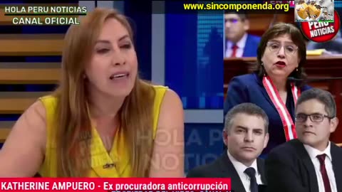 EXPROCURADORA KATHERINE AMPUERO REITERA LAS DILATACIONES EN LAS INVESTIGACIONES CONTRA VELA Y PÉREZ