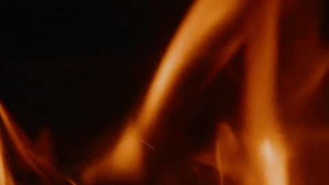 Daily Horoscope | Aries 🌟