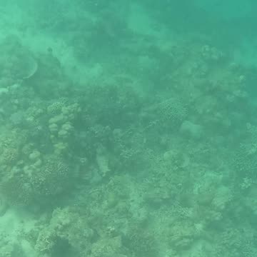 Snorkeling Morning!!