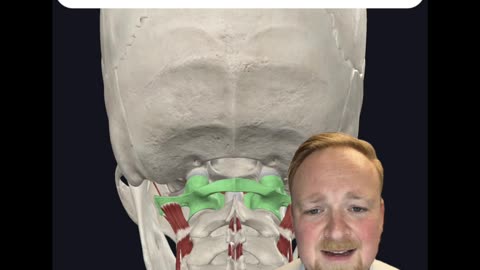Craniocervical chiropractor for migraine and vertigo | Neckwise upper cervical chiropractor