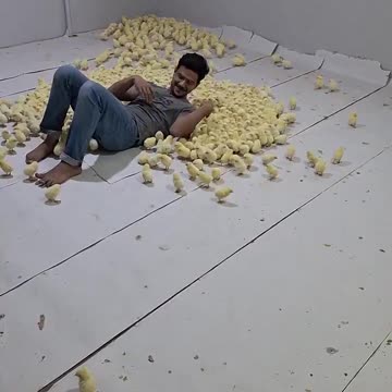 What happens if you act like a mother of chicks...