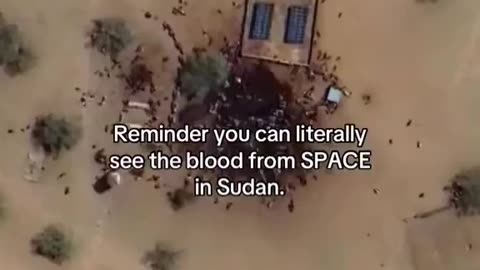 Satellite imagery captures the brutal bloodshed committed by UAE-backed RSF forces