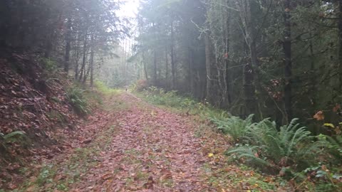 Seek Him - ALWAYS ✝🕊