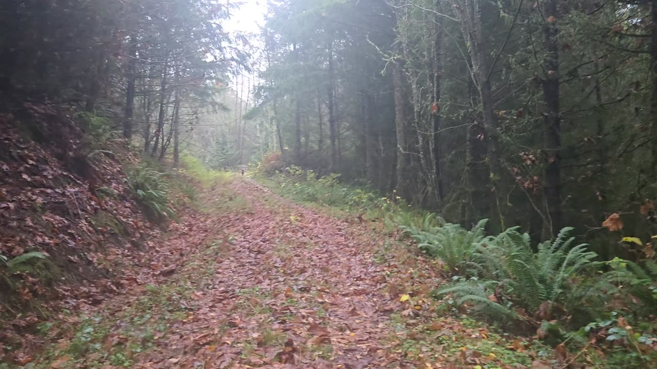 Seek Him - ALWAYS ✝🕊