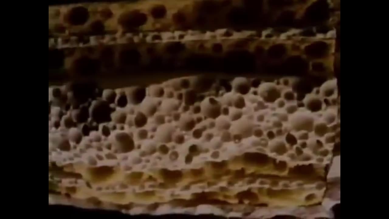 2.5 Hours of 80s Commercials Nostalgia - SFA Vol 01 - The Scott Family Archives